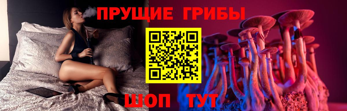 Псилоцибиновые грибы Psilocybine cubensis Красноуфимск